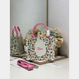 2026 DIOR Book tote