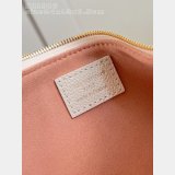 Louis Vuitton M11916 Butter Powder Pochette Liv Monogram Bag