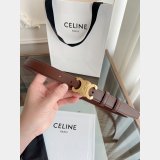 celine replica Triomphe belt  25MM Dolabuy