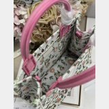 2026 DIOR Book tote