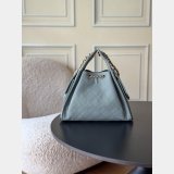 Luxury CC 25 SMALL Hobo AS5293 HANDBAG