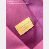 Louis Vuitton Side Trunk GM Best Monogram Canvas M29355 Bag