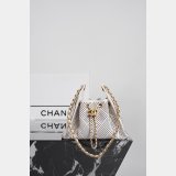 2026 CC 25 mini/small Handbag