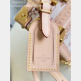 Louis Vuitton Mini Square Trunk New M28676 AAA+ Bag