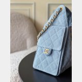 Luxury CC 25 SMALL Hobo AS5293 HANDBAG