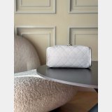 2026 CC 25 Mini Handbag AS5631