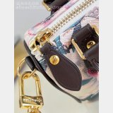Louis Vuitton 7 Star Nano Speedy M29149 Monogram Canvas Bag