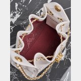 2026 CC 25 mini/small Handbag