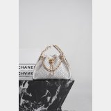 2026 CC 25 mini/small Handbag