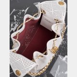 2026 CC 25 mini/small Handbag
