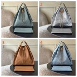 Perfect CC 25 Medium AS5311 Hobo Replica Bags