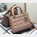 Fashion Christian Dior Lady lambskin 24CM Bag