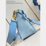 Louis Vuitton Pochette Accessories XL Damier Other N00204 Bag