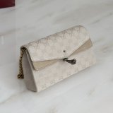 Gucci Dionysus Small Shoulder Crossbody 876531 Bag