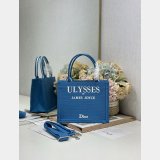 2026 DIOR Book tote