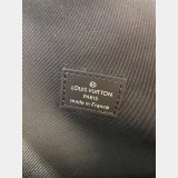 Louis Vuitton Replica M43186 Apollo Backpack Monogram Eclipse