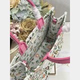 2026 DIOR Book tote