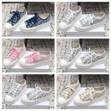 2026 Walk N Dior Platform Sneaker