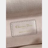 Dior High Quality Lady D-Joy 22CM #9240 Bags