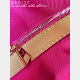 Louis Vuitton Diane Backpack PM AAA+ M29766 Handbags