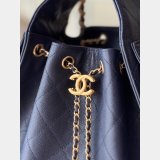 Luxury CC 25 SMALL Hobo AS5293 HANDBAG