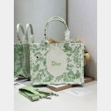 2026 DIOR Book tote