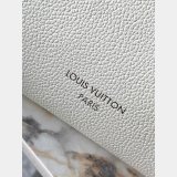 Louis Vuitton Fashion Show Multipass M29094 UK Bag
