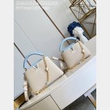 AAA+ Louis Vuitton M2A443 Capucines Mini Handbags