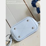 Louis Vuitton Blossom PM M29375 Top Quality Bag