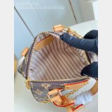 Louis Vuitton Speedy Trunk 20 Other Monogram Canvas M28102 Bag