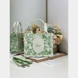 2026 DIOR Book tote