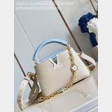 AAA+ Louis Vuitton M2A443 Capucines Mini Handbags