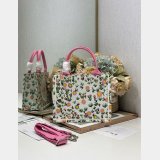 2026 DIOR Book tote