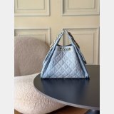 Luxury CC 25 SMALL Hobo AS5293 HANDBAG