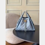 Luxury CC 25 SMALL Hobo AS5293 HANDBAG