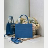 2026 DIOR Book tote
