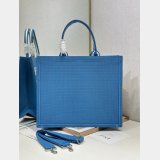 2026 DIOR Book tote