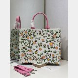 2026 DIOR Book tote