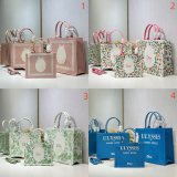 2026 DIOR Book tote
