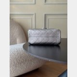 2026 CC 25 Mini Handbag AS5631